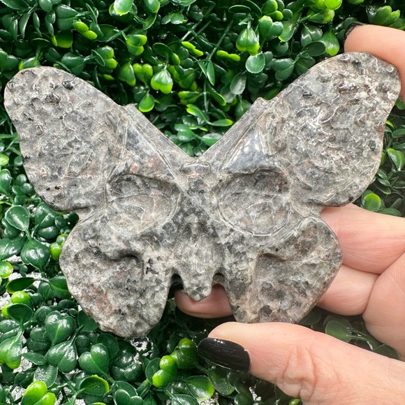 UV Reactive Yooperlite Butterfly Skull Carving - Picture 4 of 8
